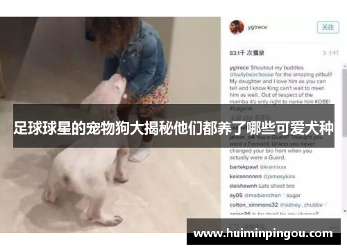 足球球星的宠物狗大揭秘他们都养了哪些可爱犬种